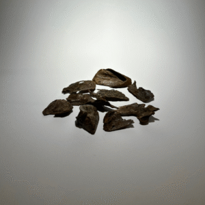 نفايح العود المنقرض