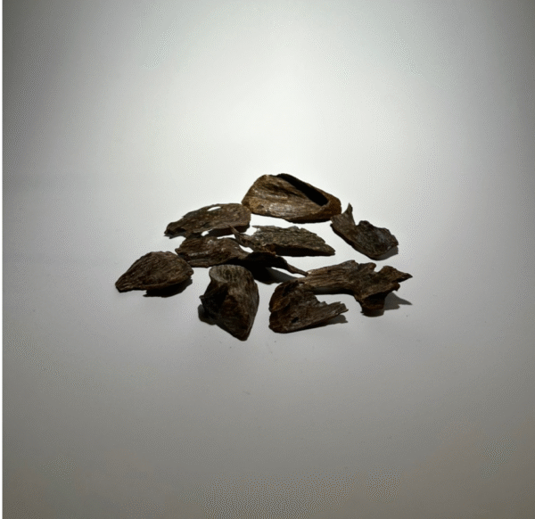 نفايح العود المنقرض