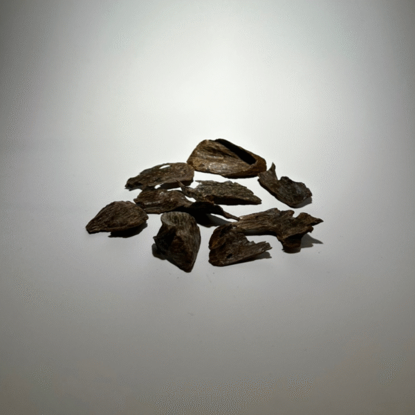 نفايح العود المنقرض