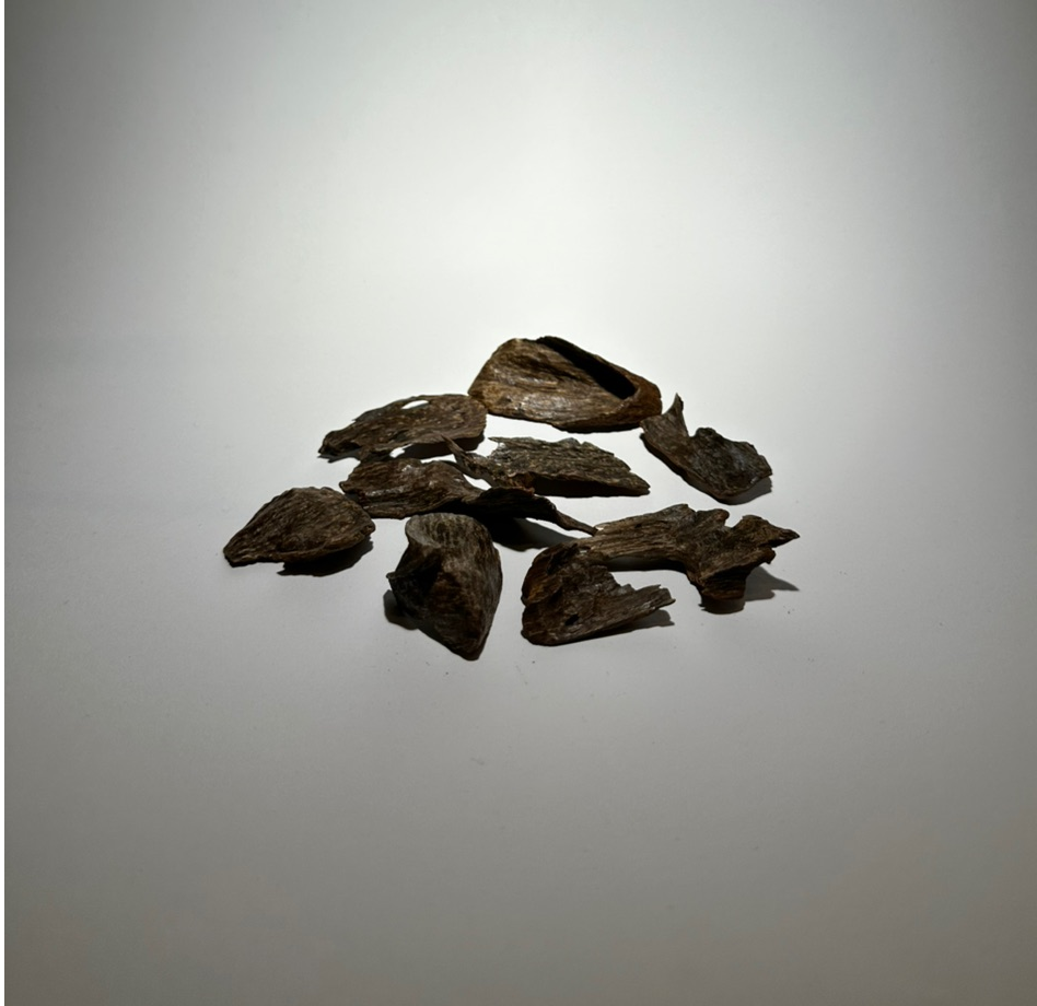 نفايح العود المنقرض